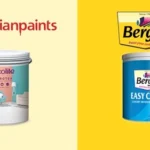 Asian Paints Vs Berger Paints