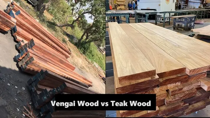 Vengai Wood vs Teak Wood