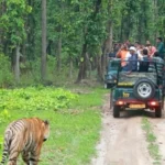 Bandipur National Park