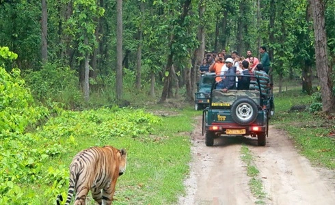 Bandipur National Park