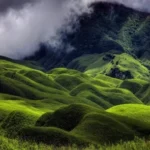 Dzukou Valley