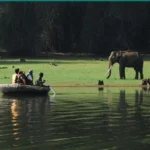 Kabini