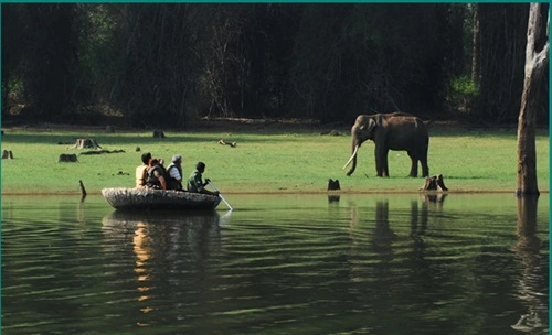 Kabini