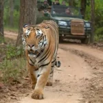 Kanha National Park