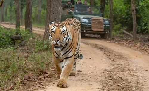 Kanha National Park