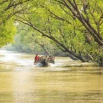 Sunderbans