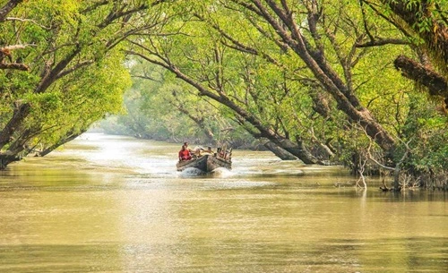 Sunderbans