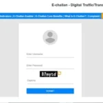 Parivahan e-Challan Portal